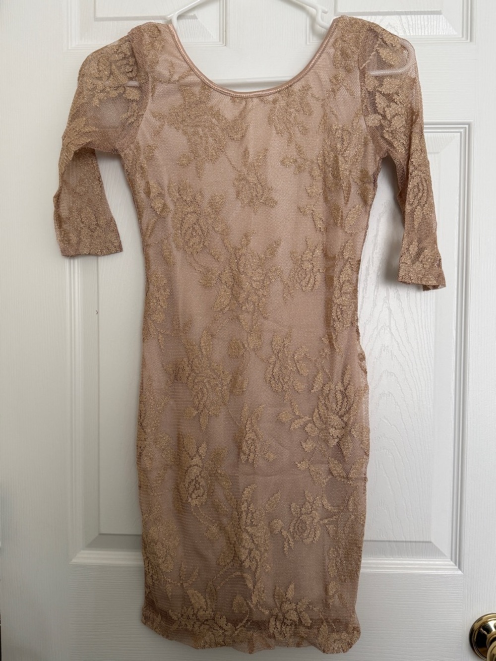 Lovely Day Nude Lace Dress with Gold Embroidery